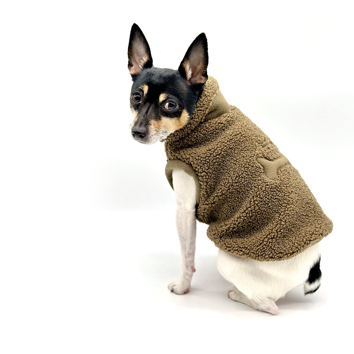 Cozy Sherpa Fleece Pullover - Olive - Maison Fur