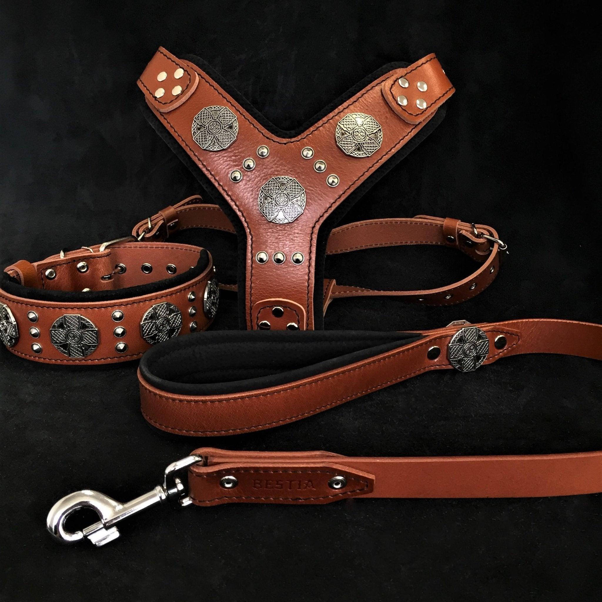 Maximus Leather Big Dog Set - Maison Fur