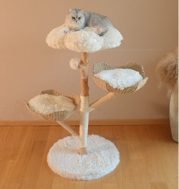 Natural Fruit & Rattan Tree - Maison Fur