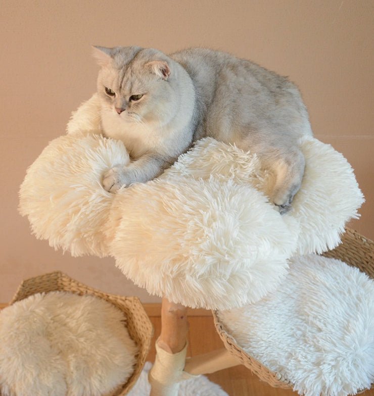 Natural Fruit & Rattan Tree - Maison Fur