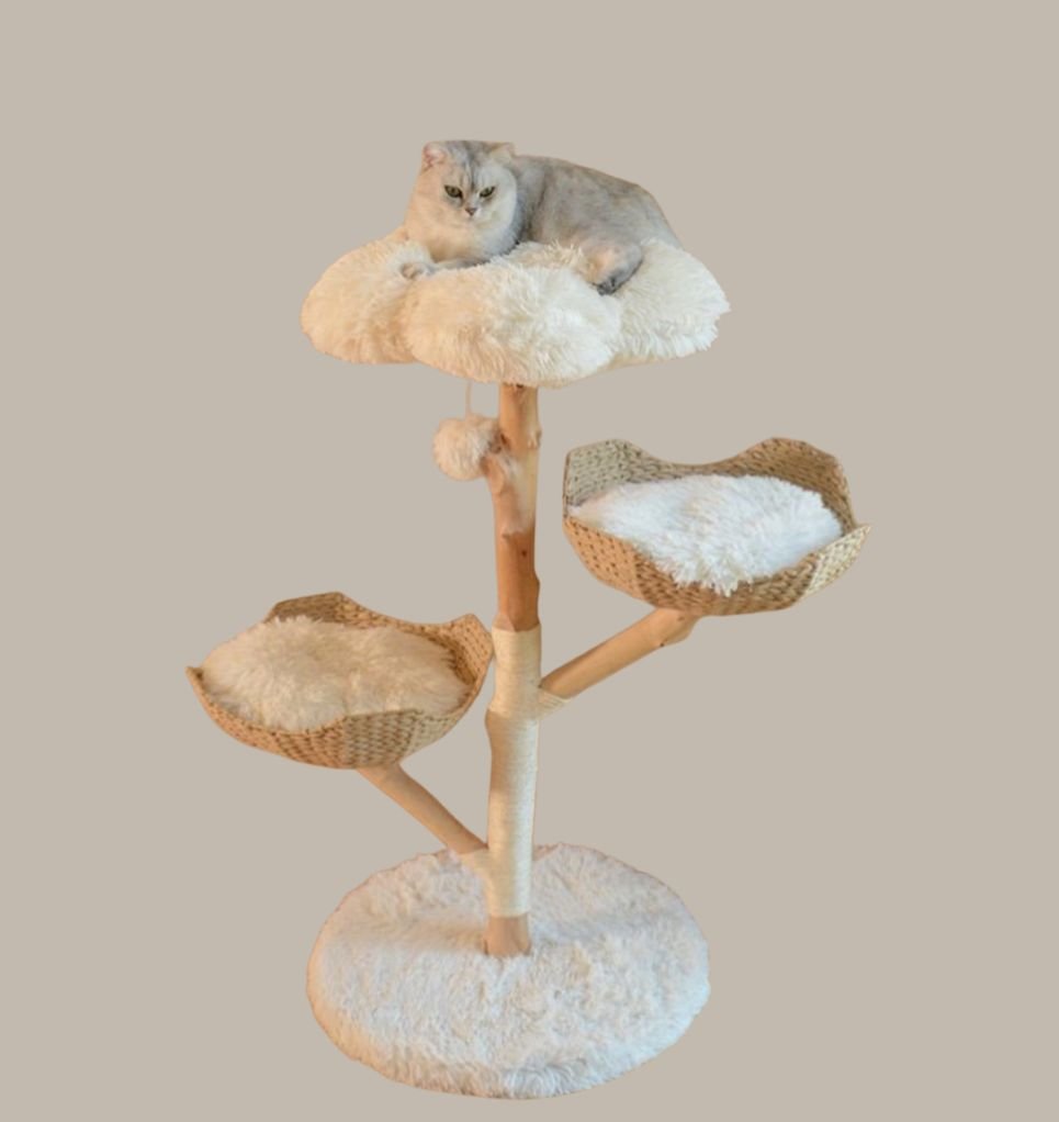 Natural Fruit & Rattan Tree - Maison Fur