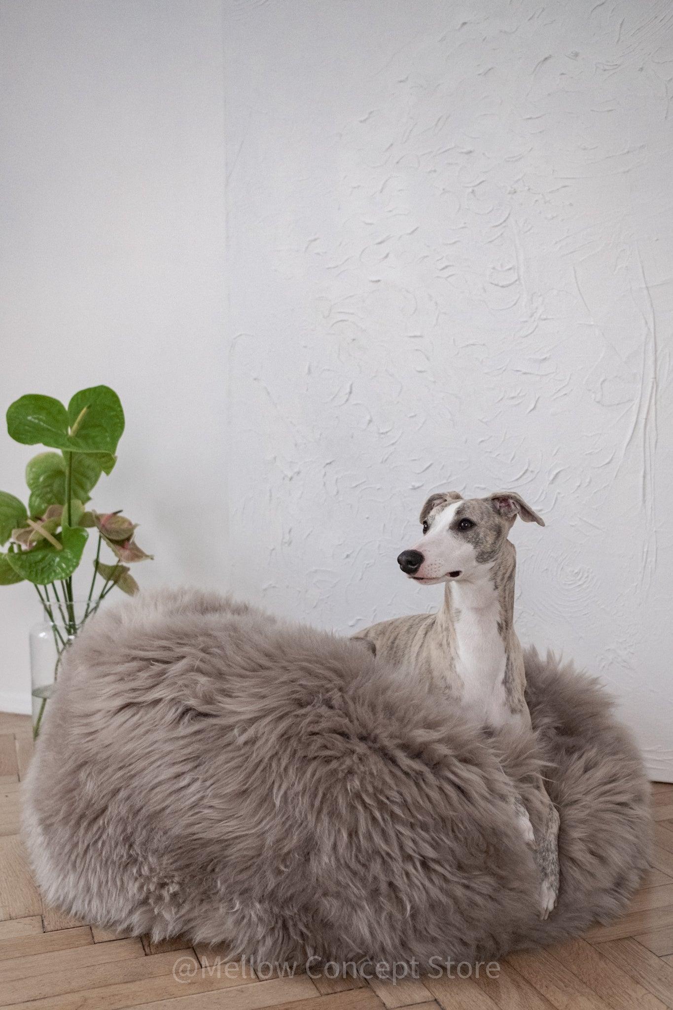 Natural Sheepskin Pet Bed - Oval, Greige - Maison Fur