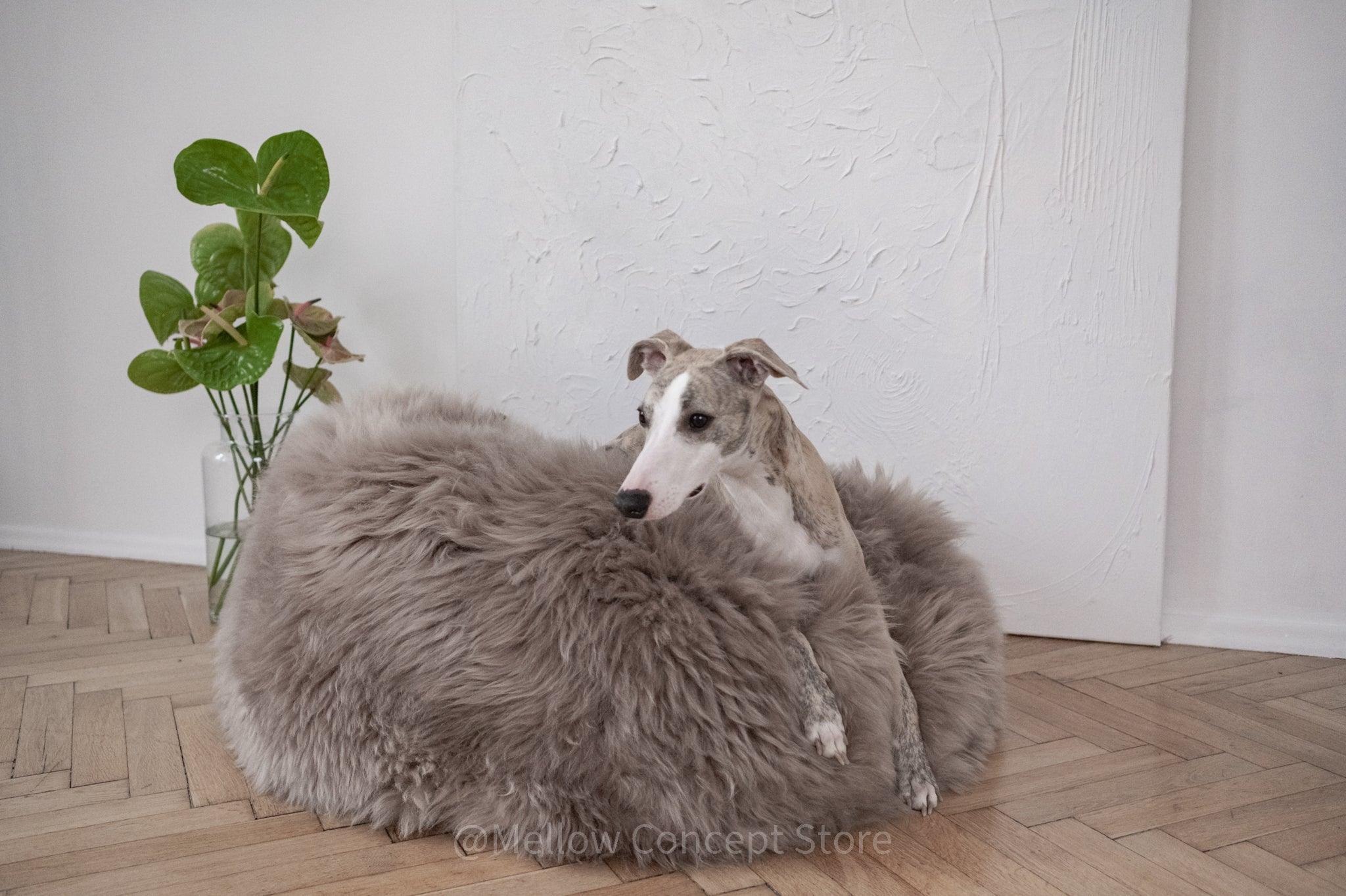Natural Sheepskin Pet Bed - Oval, Greige - Maison Fur