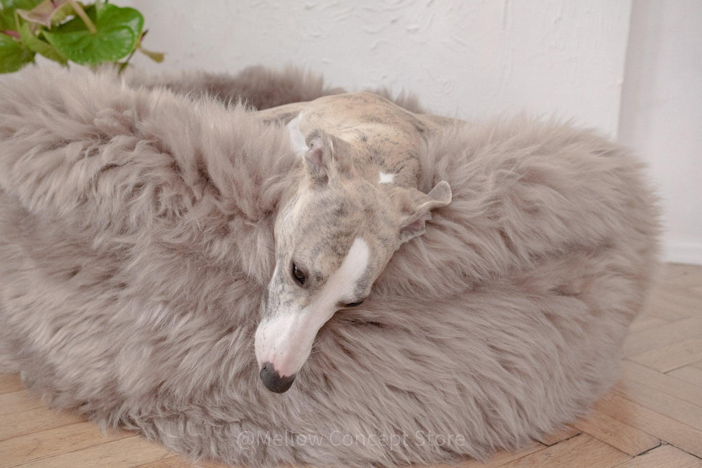 Natural Sheepskin Pet Bed - Oval, Greige - Maison Fur