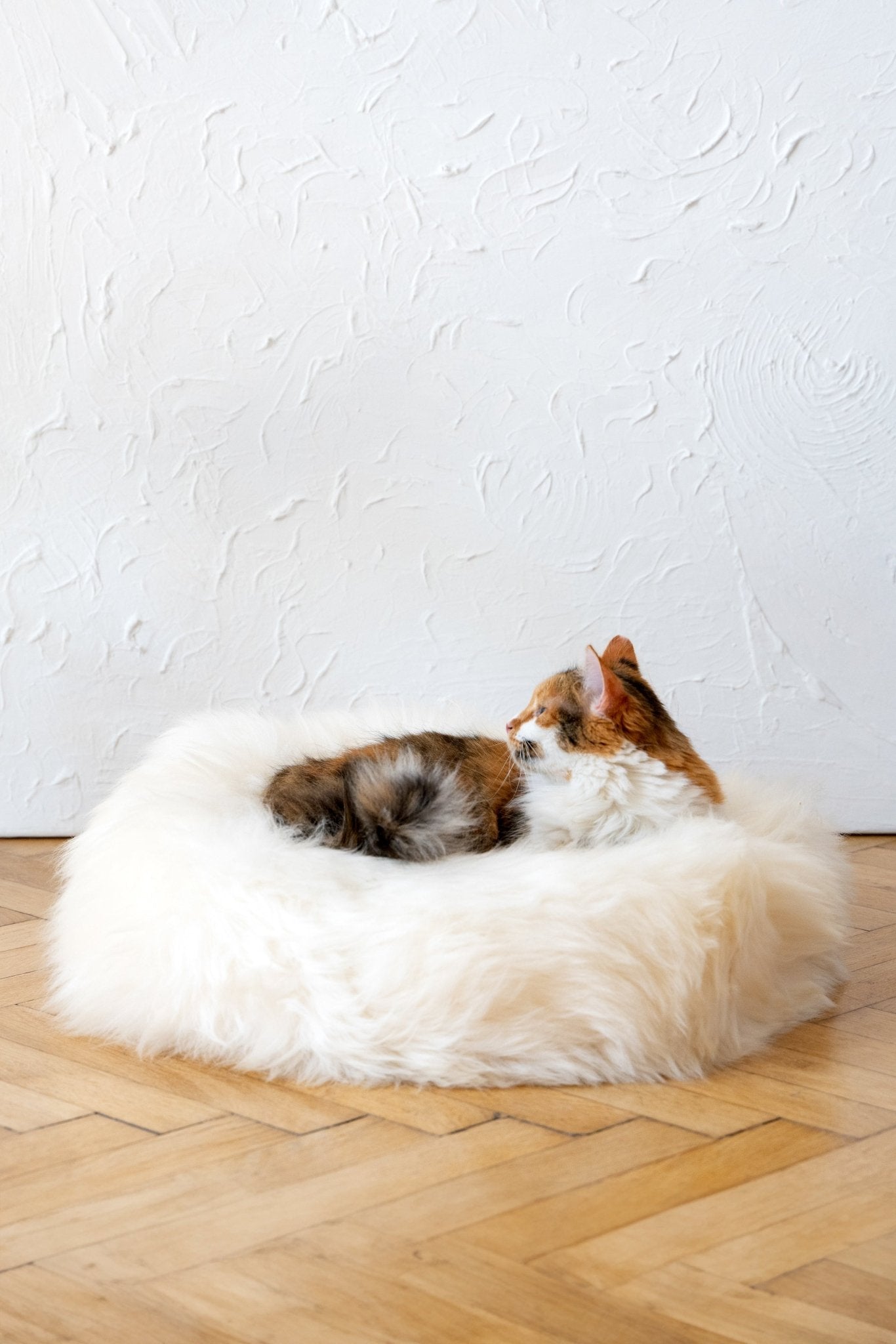 Natural Sheepskin Pet Bed - Round, White - Maison Fur