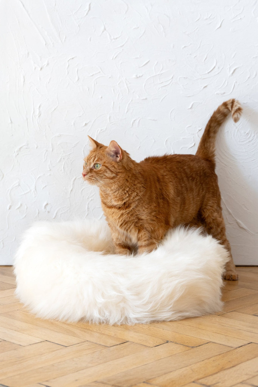 Natural Sheepskin Pet Bed - Round, White - Maison Fur