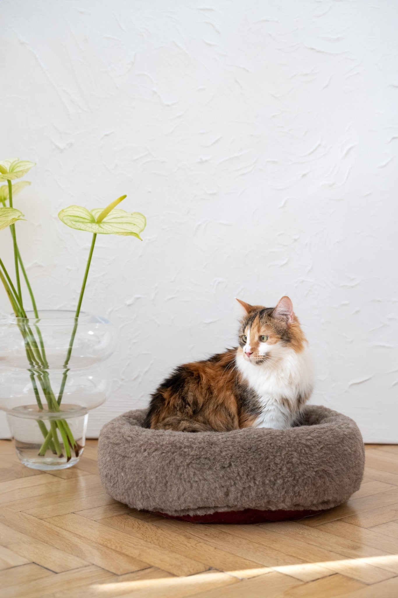 Natural Wool Pet Bed - Round, Beige - Maison Fur