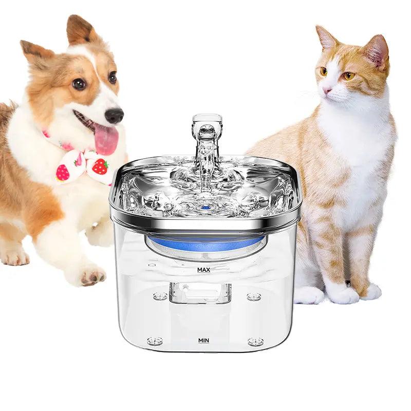 Pet Hydration Fountain with Triple Flow Modes - Maison Fur