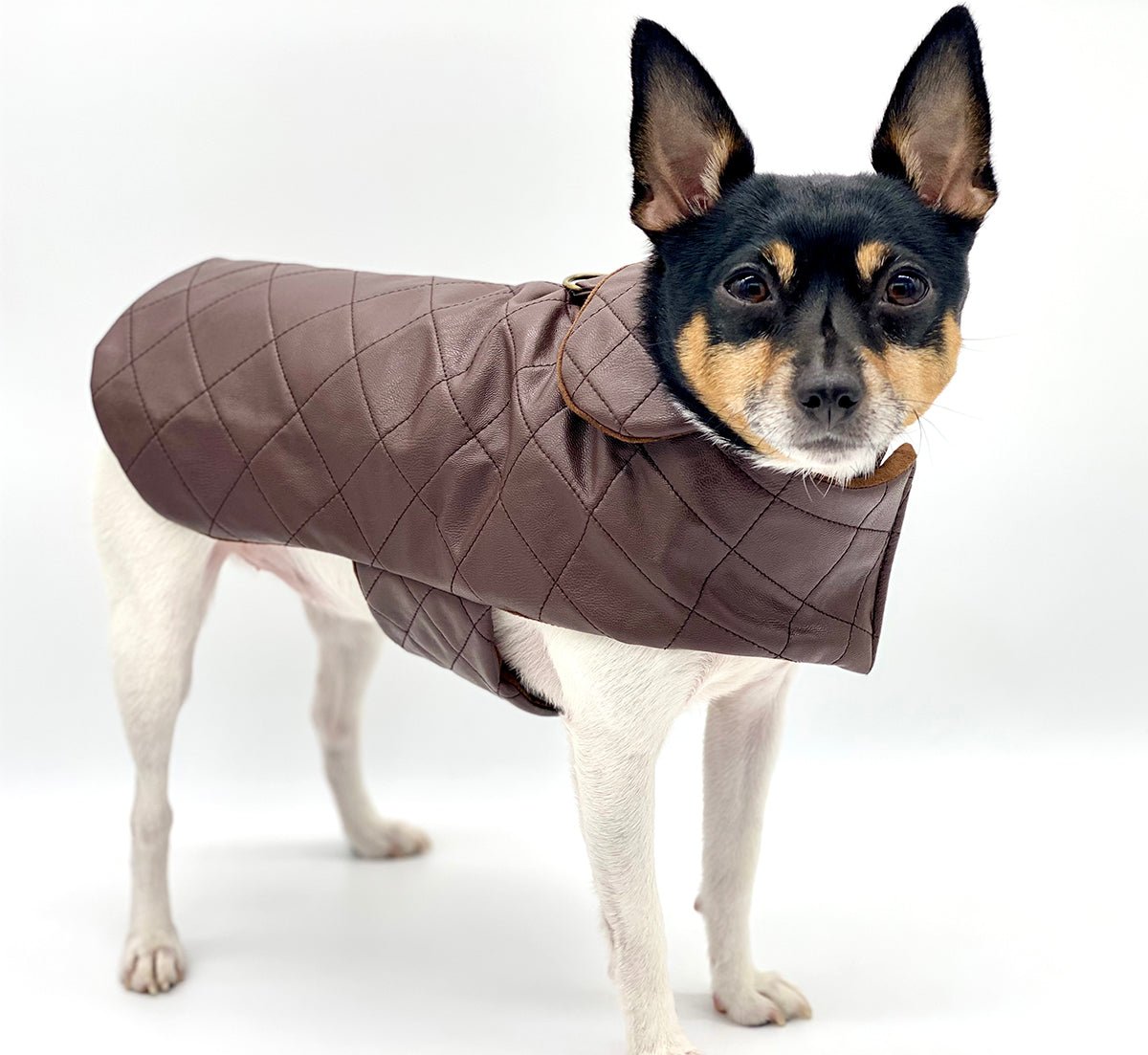 Quilted Vegan Chocolate Leather Coat by DCNY - Maison Fur