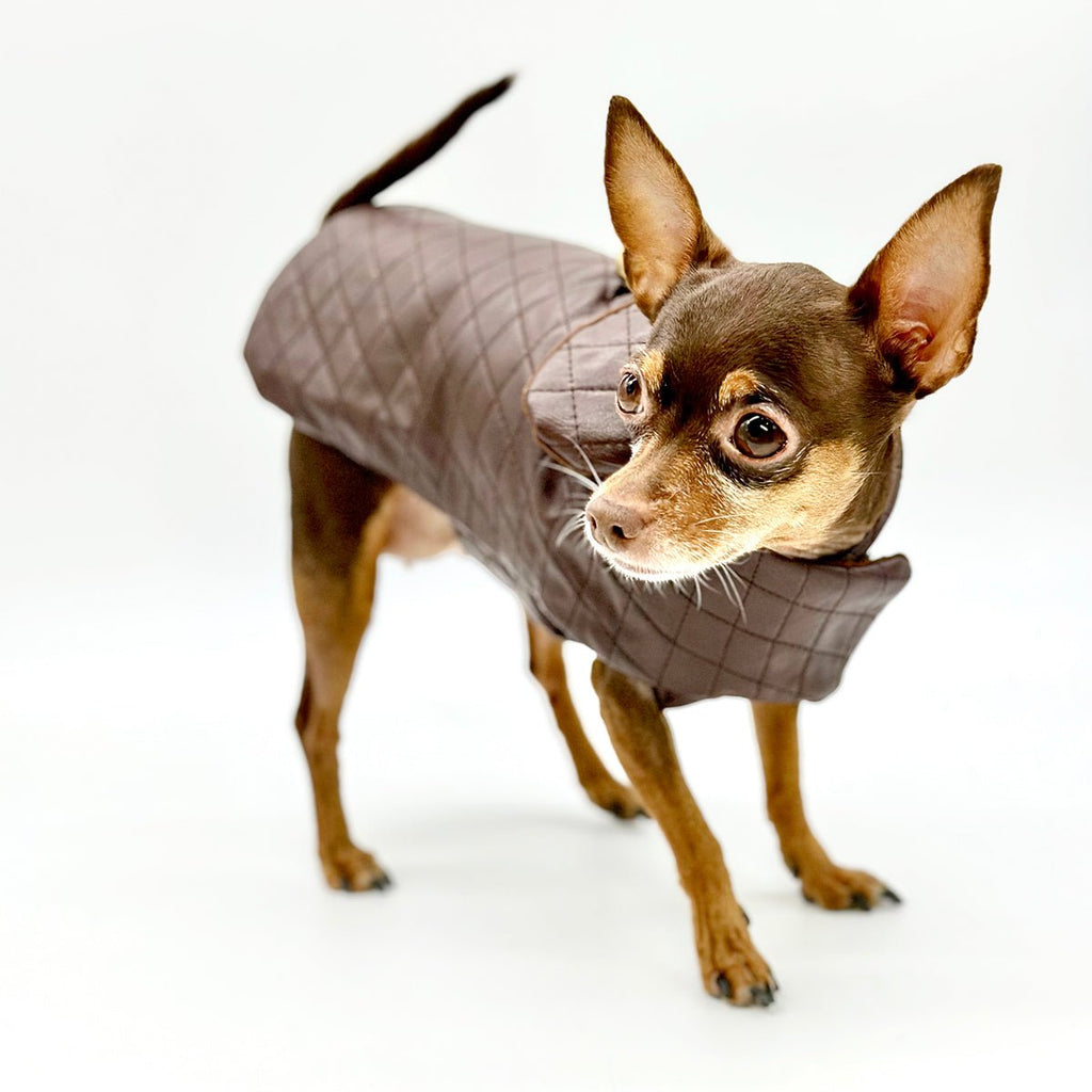 Quilted Vegan Chocolate Leather Coat by DCNY - Maison Fur