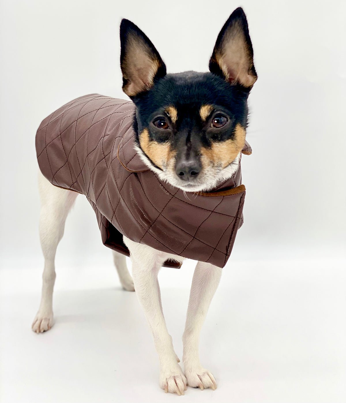 Quilted Vegan Chocolate Leather Coat by DCNY - Maison Fur