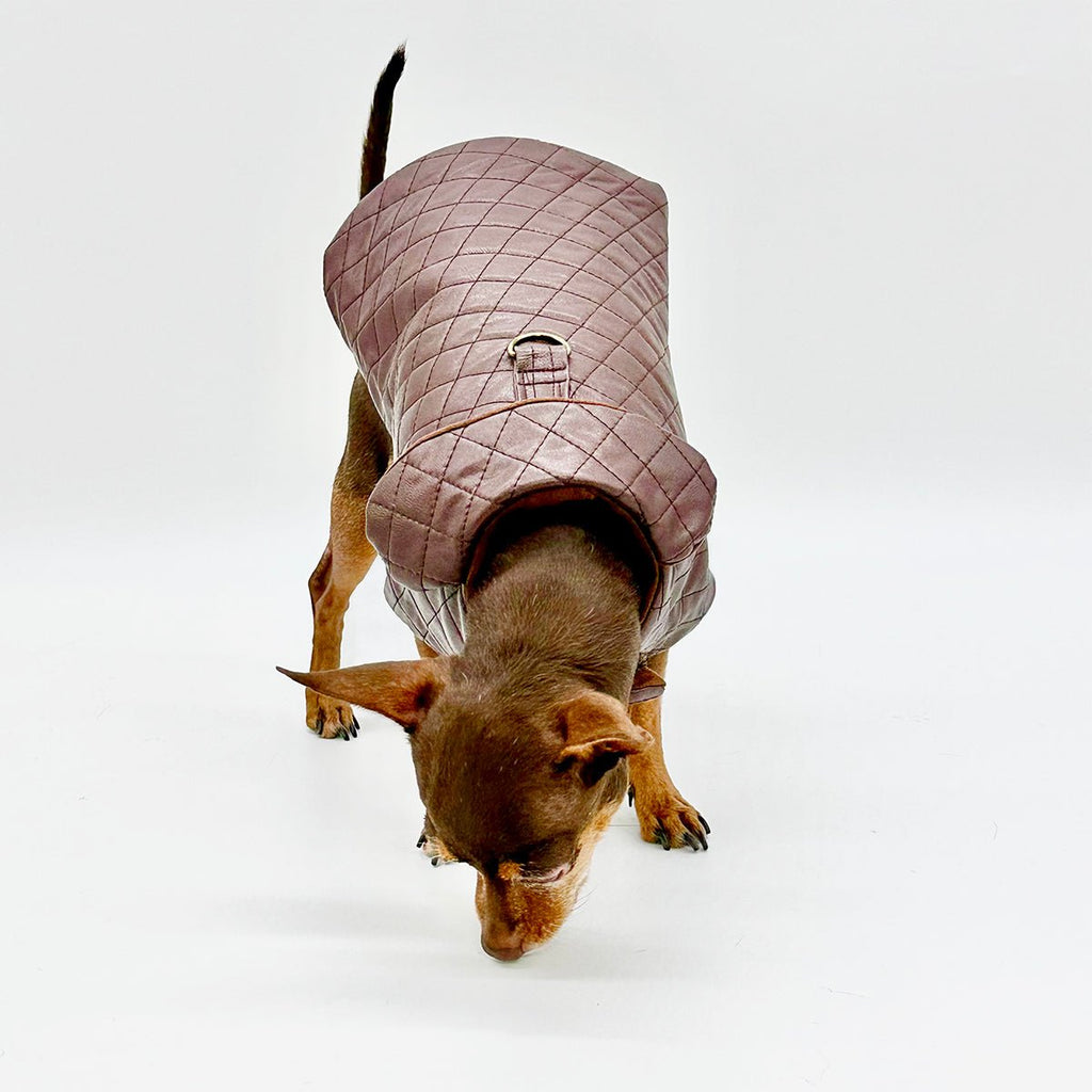 Quilted Vegan Chocolate Leather Coat by DCNY - Maison Fur