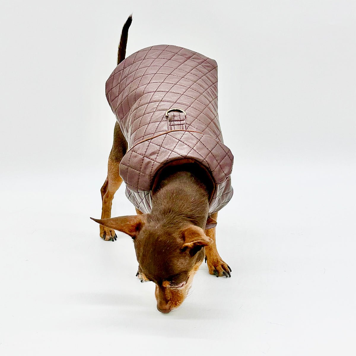 Quilted Vegan Chocolate Leather Coat by DCNY - Maison Fur