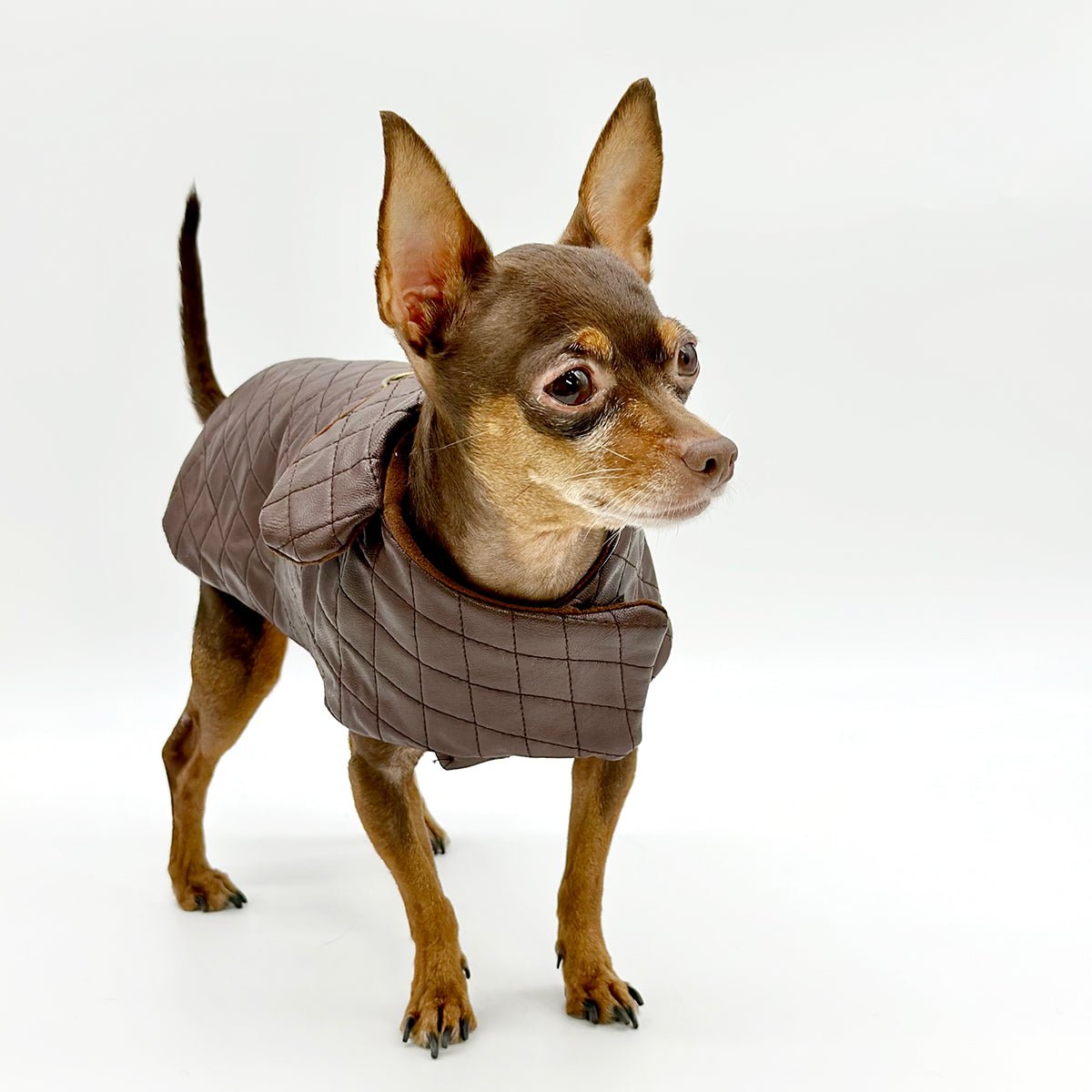 Quilted Vegan Chocolate Leather Coat by DCNY - Maison Fur