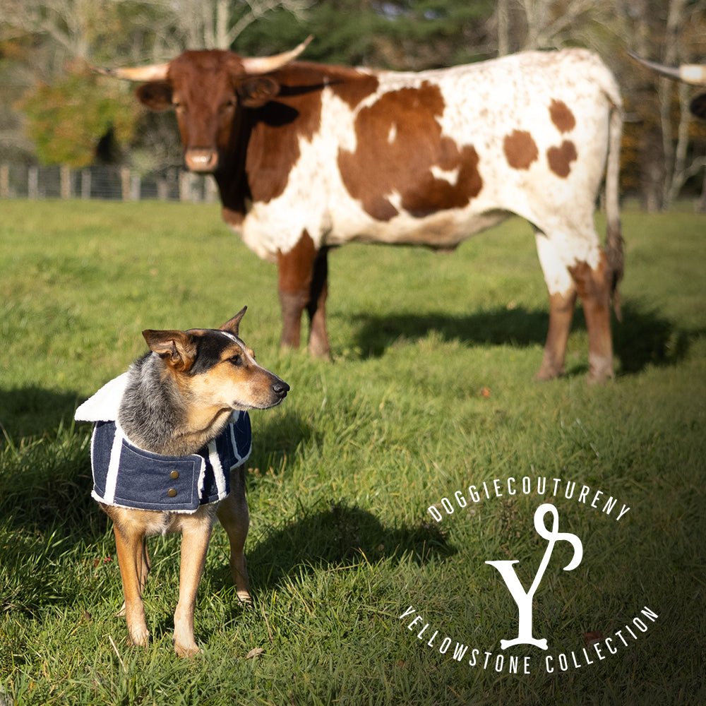 Sherpa Lined Denim Ranch Coat - Maison Fur