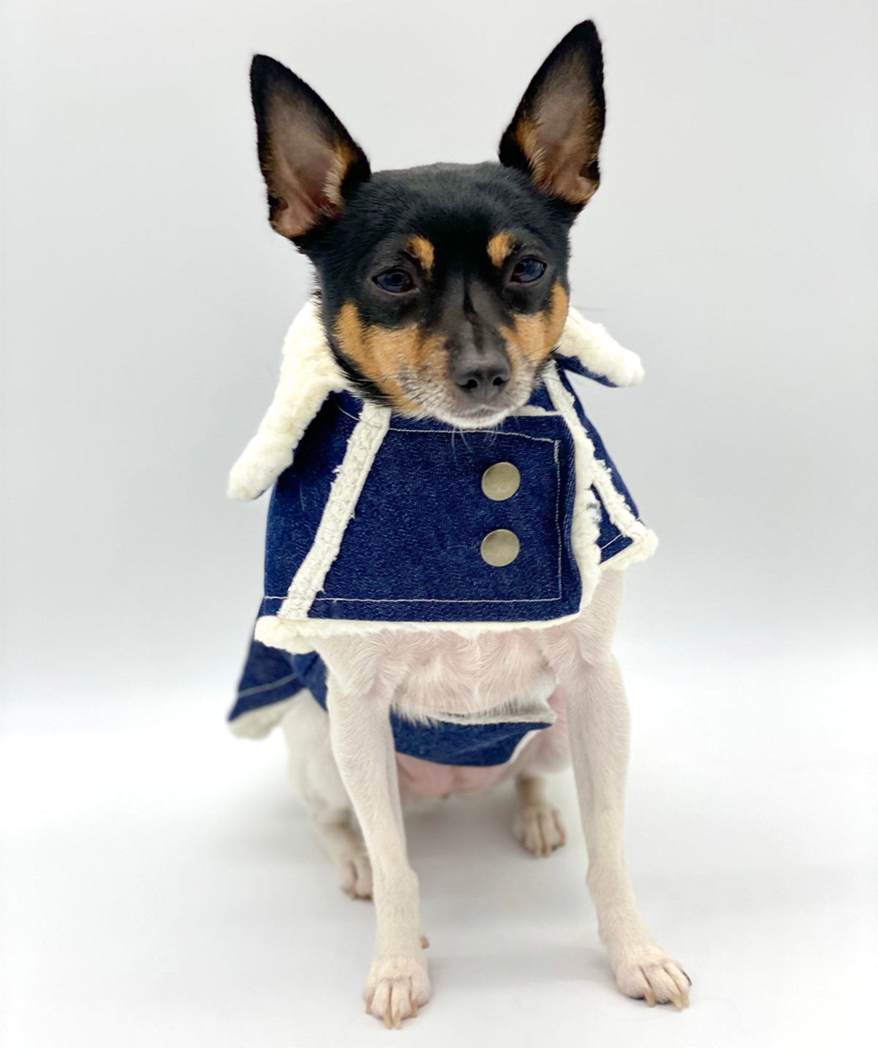 Sherpa Lined Denim Ranch Coat - Maison Fur