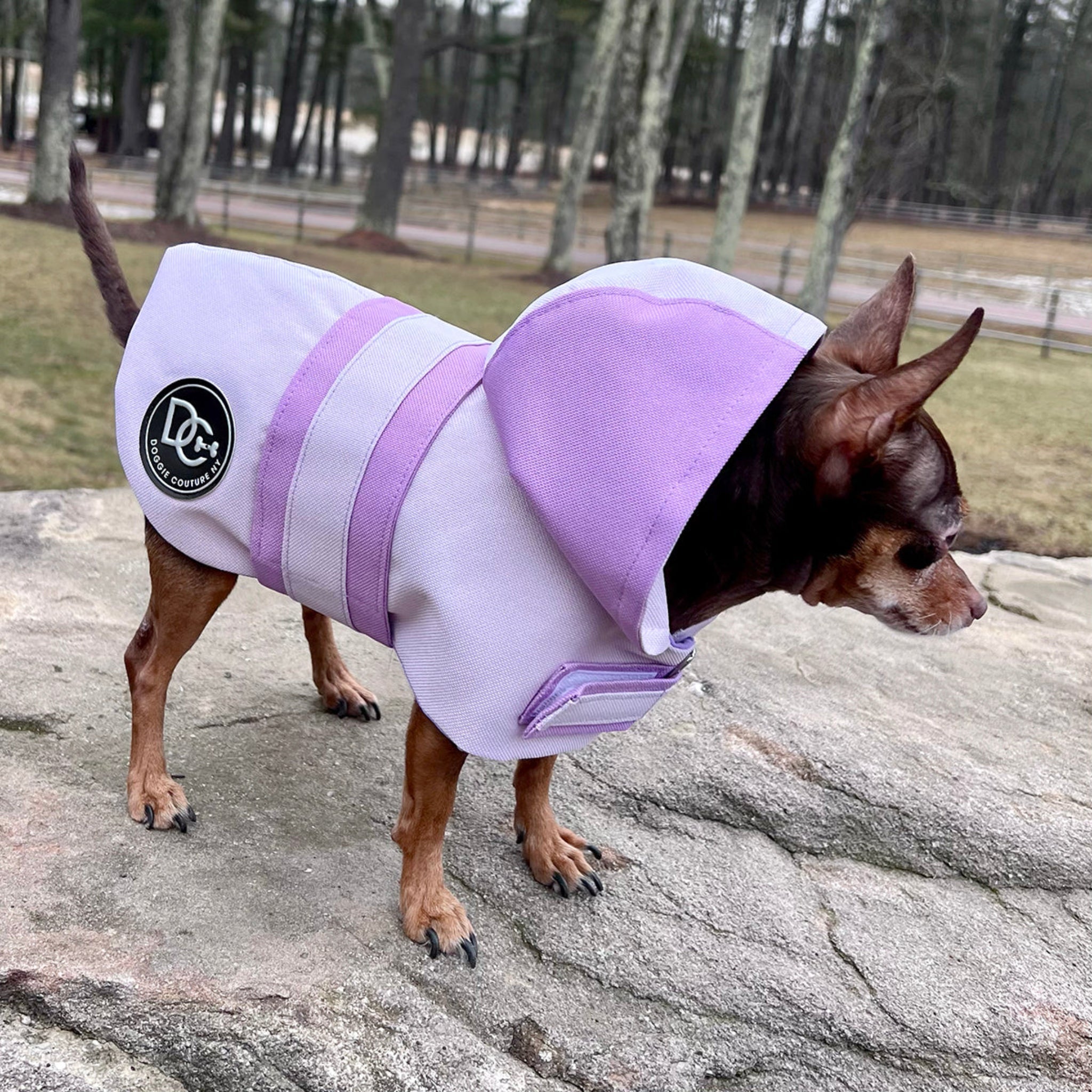 Sport Luxe Hooded Raincoat - Maison Fur