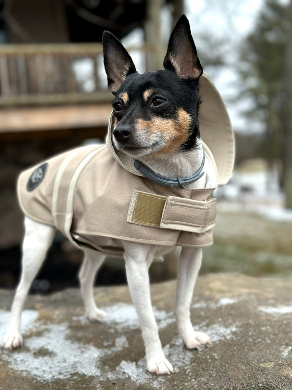 Sport Luxe Hooded Raincoat - Maison Fur