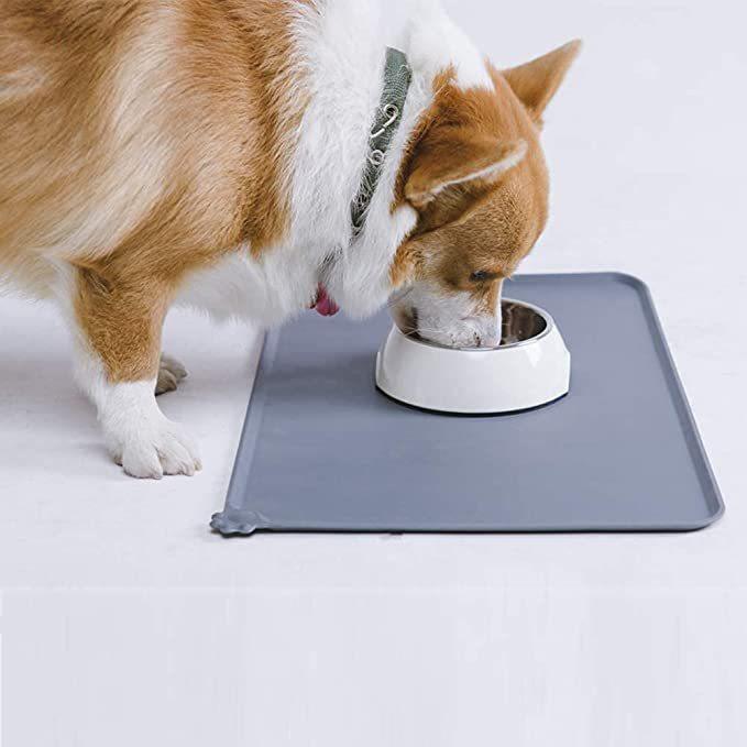 Stylish Stainless Steel Pet Feeder - Maison Fur